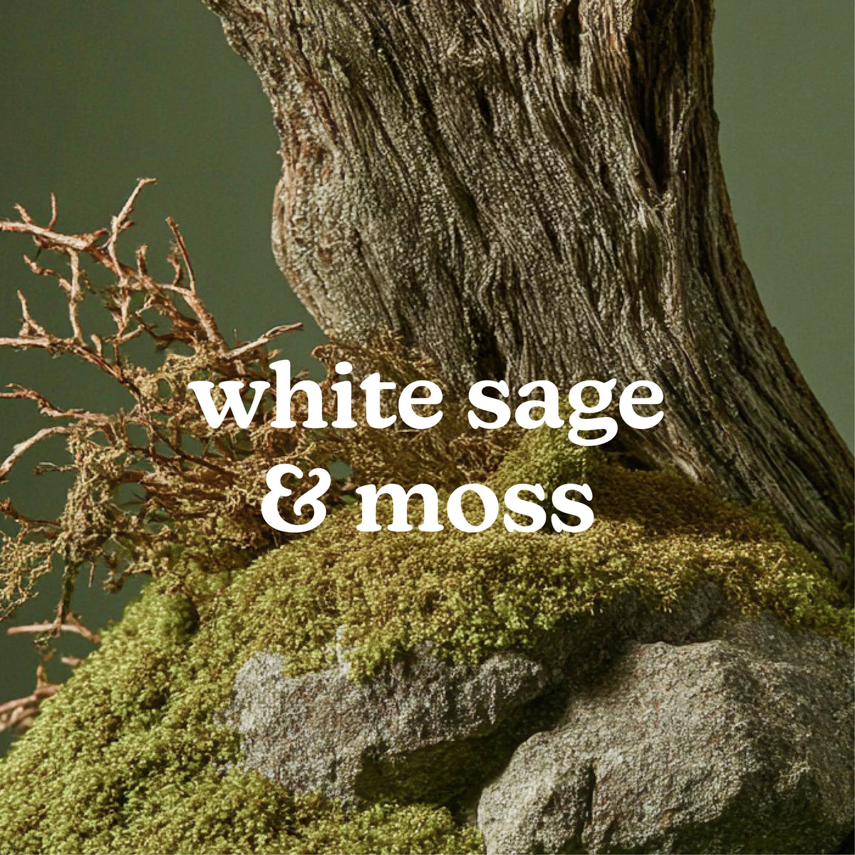 SereneScent™ White Sage & Moss 120ml