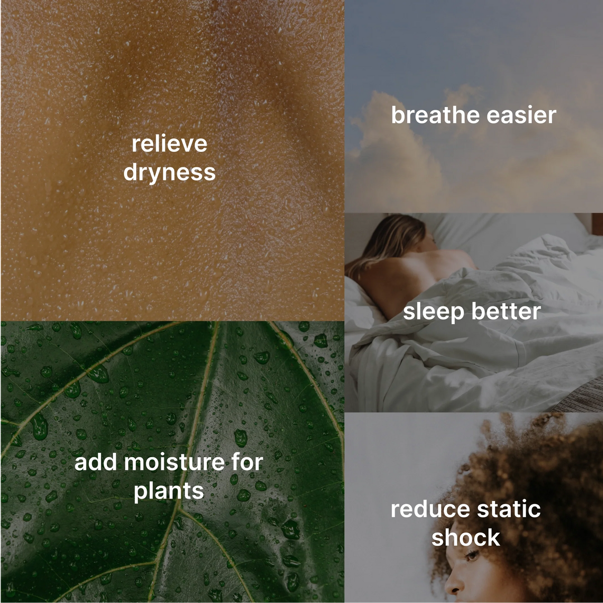 Decor Series Medium Humidifier