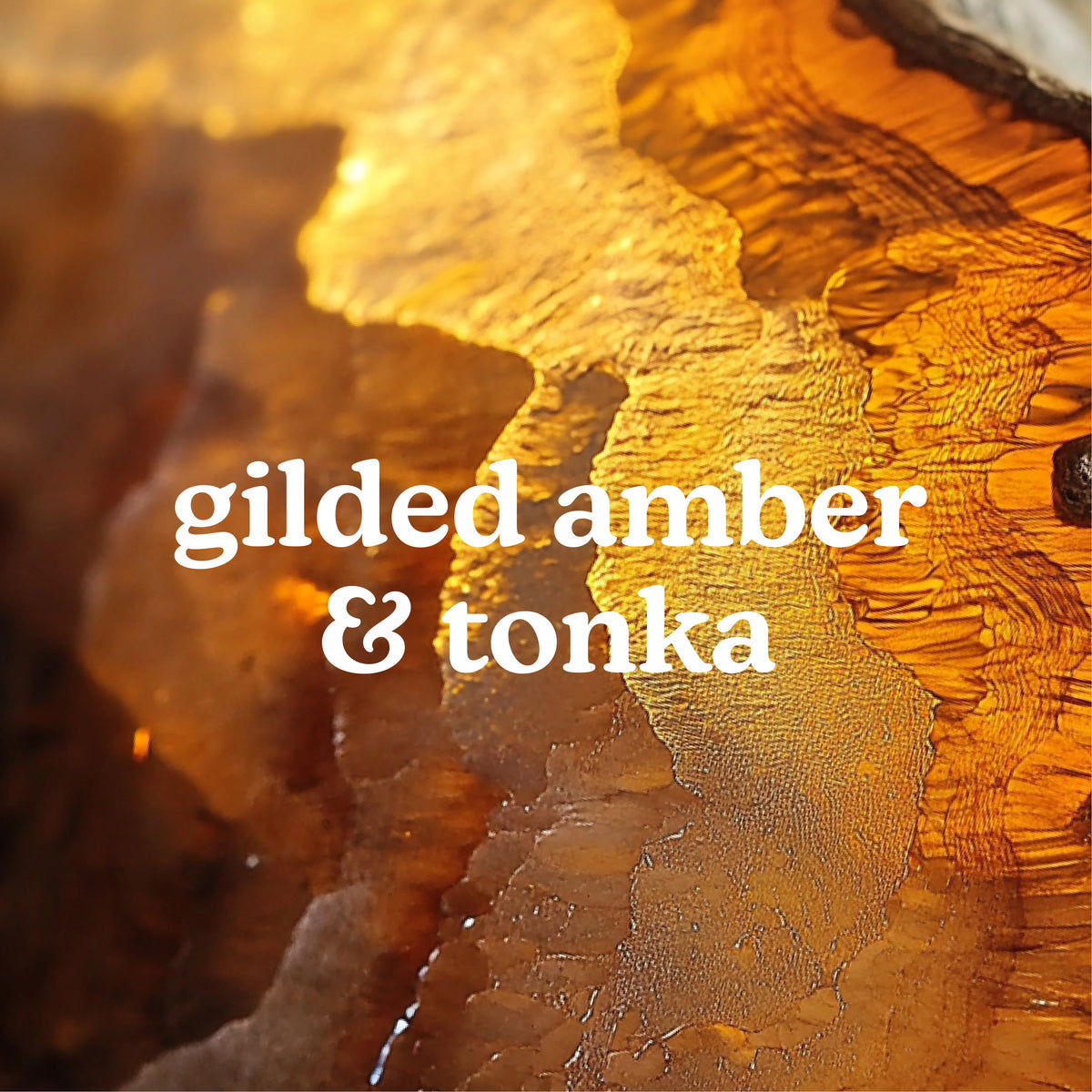 SereneScent™ Gilded Amber & Tonka